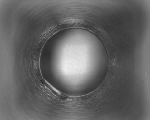 X0000086100869200703231432