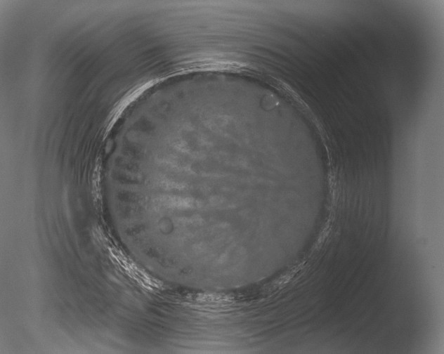 X0000086100875200703231432