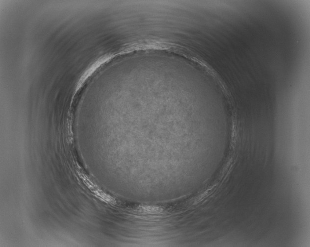 X0000086100878200703231432