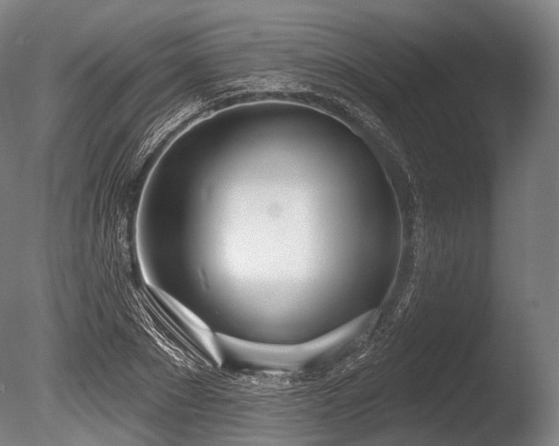 X0000086100881200703231432