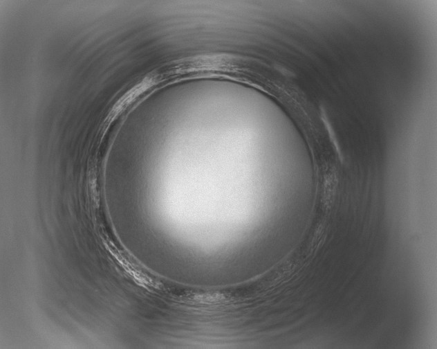 X0000086100882200703231432