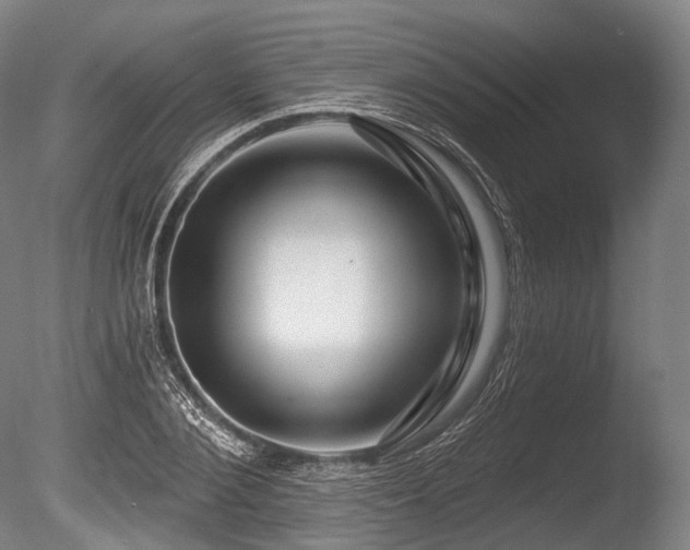 X0000086100884200703231432
