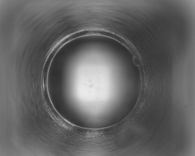 X0000086100887200703231432