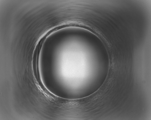 X0000086100888200703231432