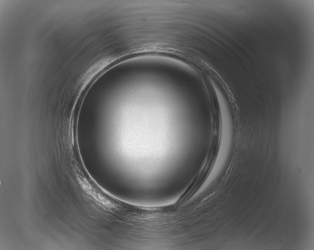 X0000086100892200703231432