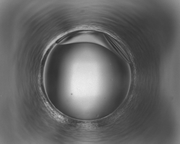 X0000086100896200703231432