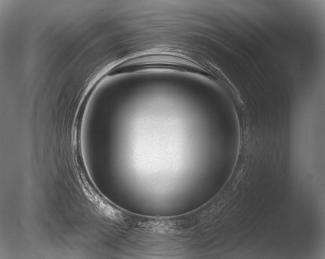 X0000086100900200703231431