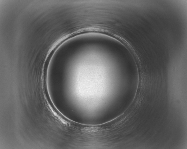 X0000086100902200703231431
