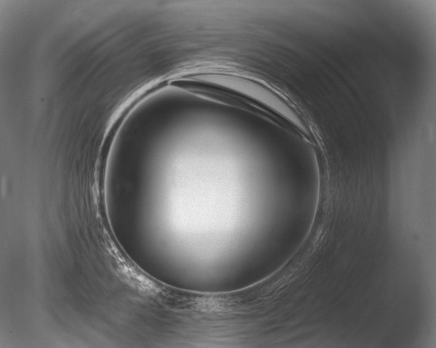 X0000086100904200703231431