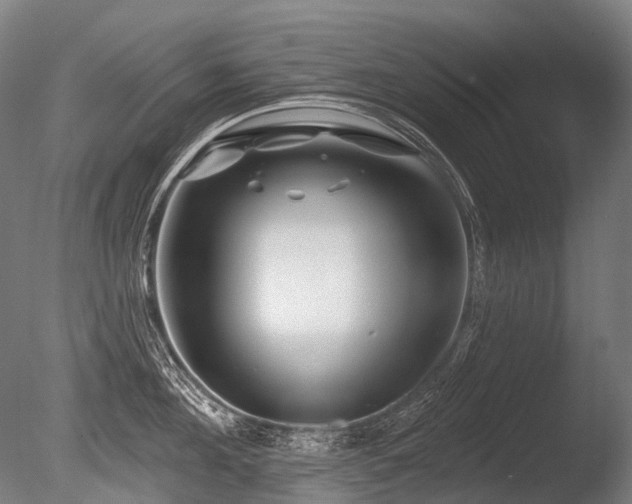 X0000086100908200703231431