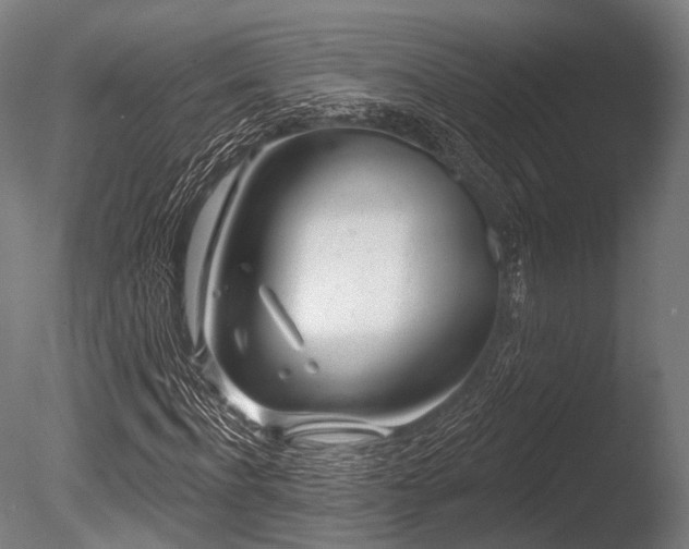 X0000086100916200703231430