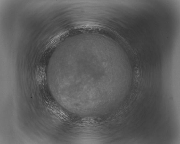 X0000086100918200703231430