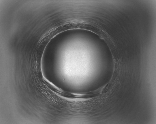 X0000086100919200703231431