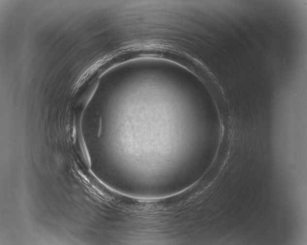 X0000086100922200703231431