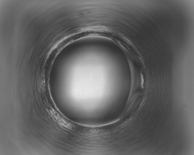 X0000086100923200703231431