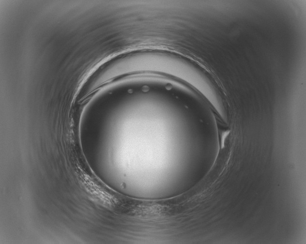 X0000086100926200703231431