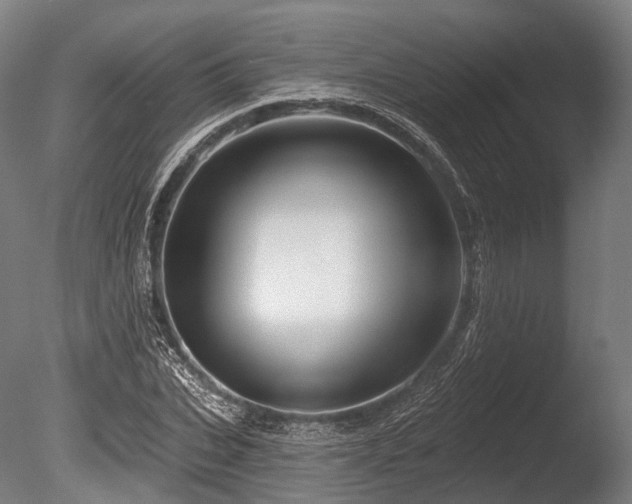 X0000086100927200703231431