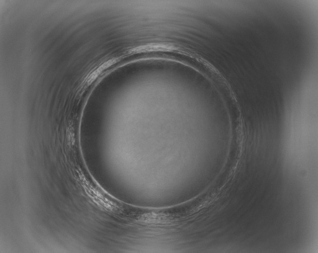 X0000086100929200703231431