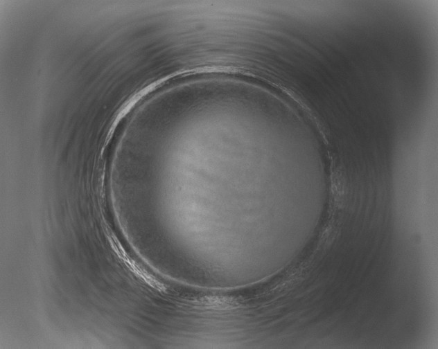 X0000086100933200703231431