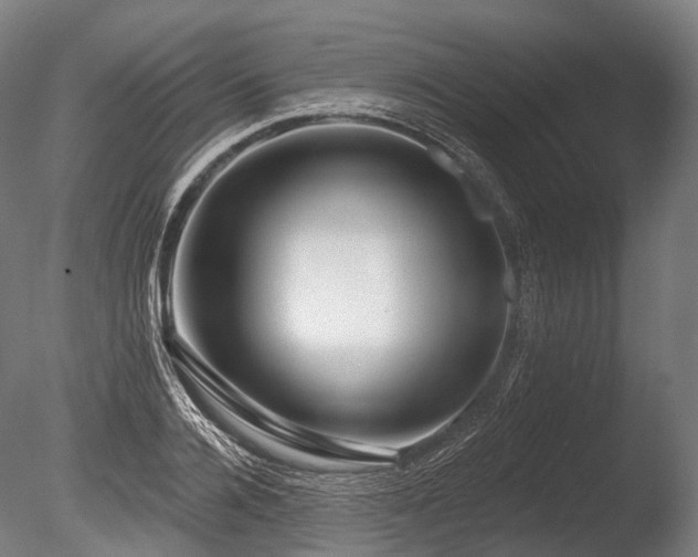 X0000086100936200703231431