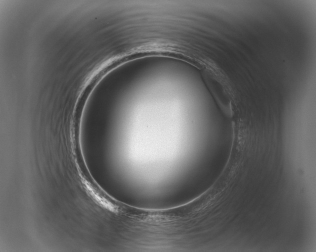 X0000086100942200703231431