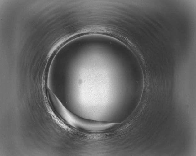X0000086100944200703231431