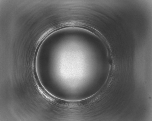 X0000086100946200703231431