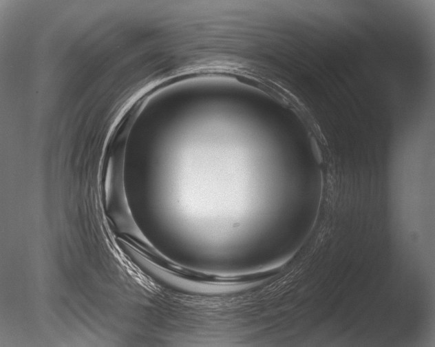 X0000086100948200703231431