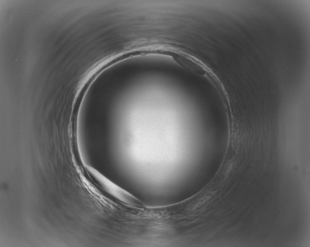 X0000086100951200703231431