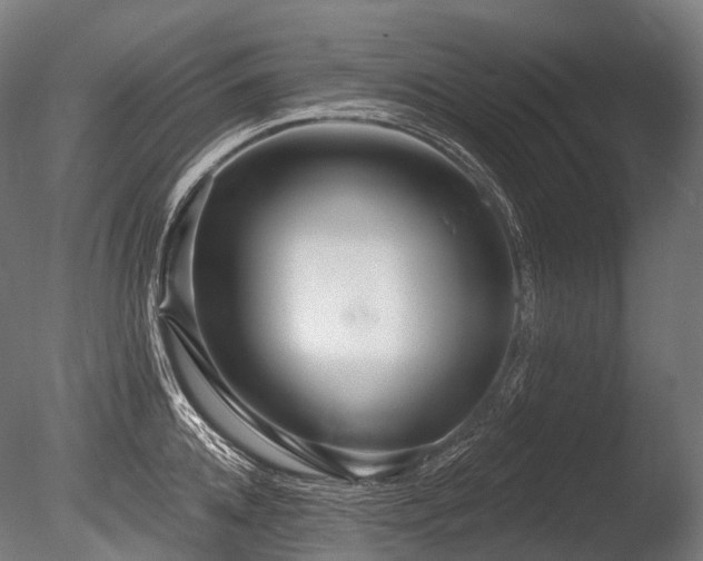 X0000086100952200703231431