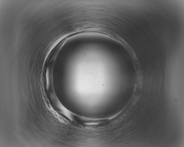 X0000086100956200703231431