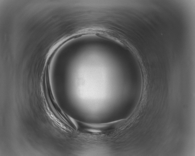 X0000086100960200703231431