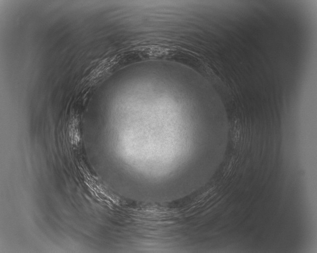 X0000086100962200703231430