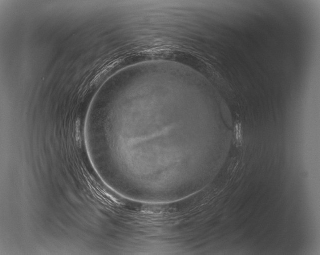 X0000086100963200703231430