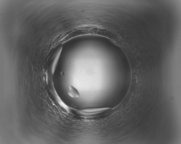 X0000086100965200703231430