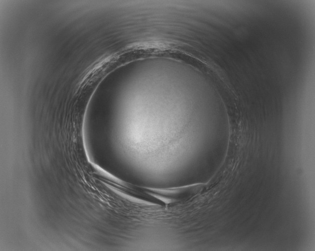 X0000086100967200703231430