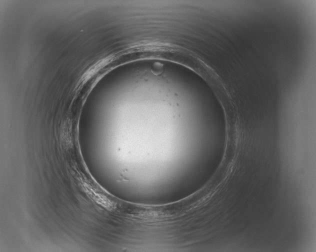 X0000086100970200703231430