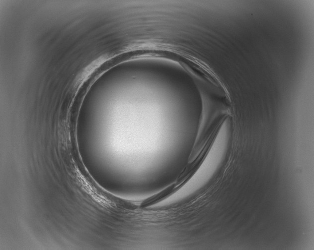 X0000086100972200703231430