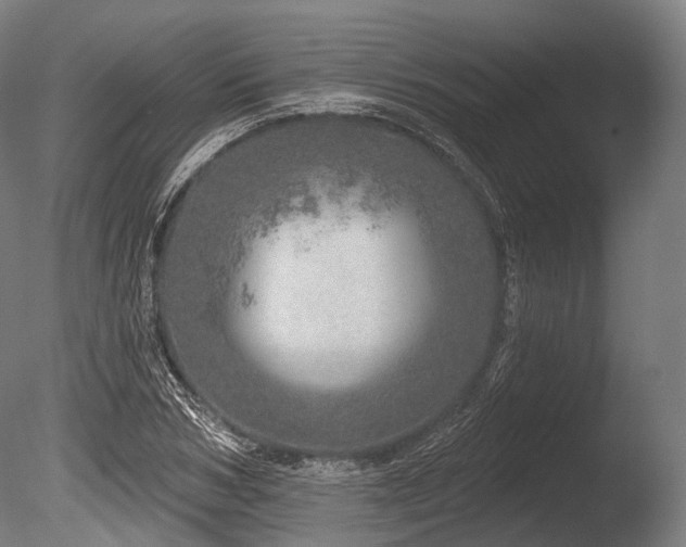 X0000086100978200703231430