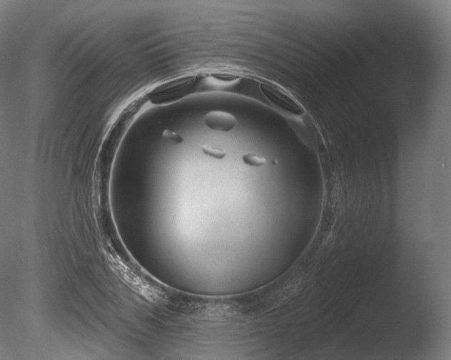 X0000086100979200703231430