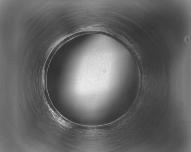 X0000086100988200703231430