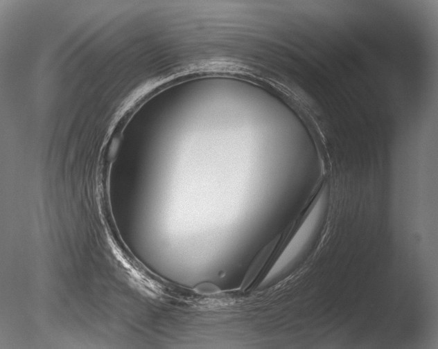 X0000086100989200703231430