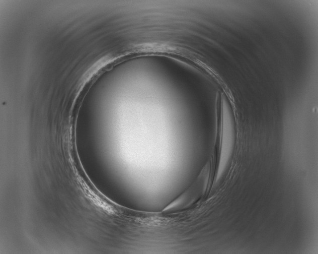X0000086100992200703231430