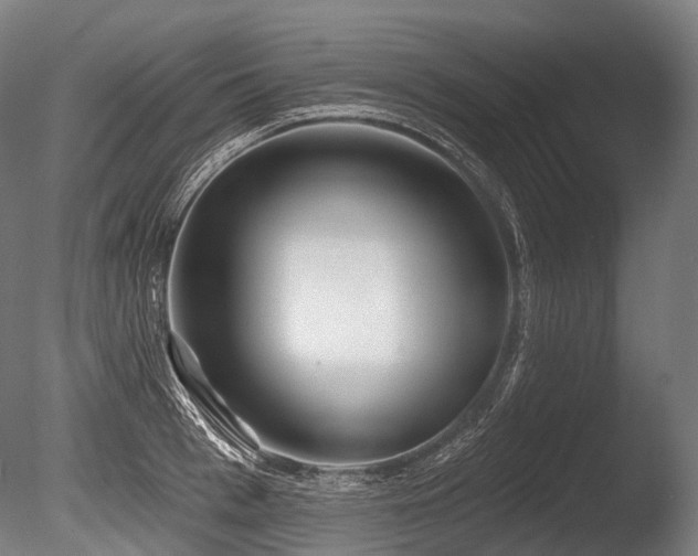 X0000086100993200703231430
