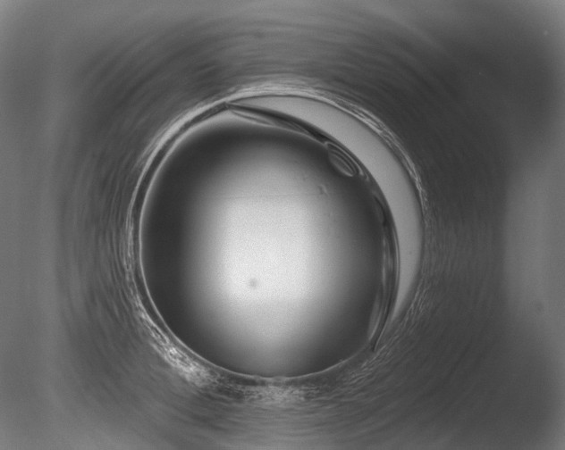 X0000086100996200703231430