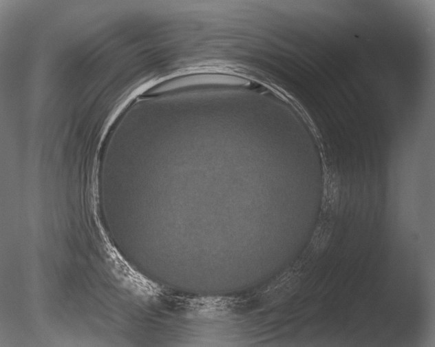 X0000086101000200703231430