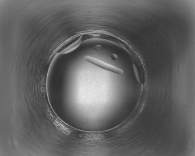 X0000086101001200703231430