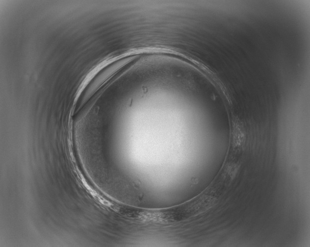 X0000086101006200703231430