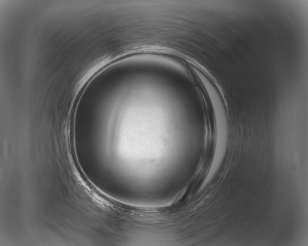 X0000086101007200703231430