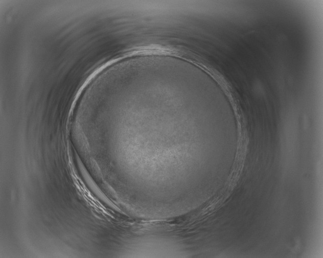 X0000086101008200703231430